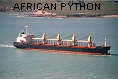 AFRICAN PYTHON IMO8507339