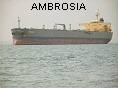 AMBROSIA IMO9301029