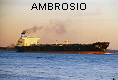 AMBROSIO  IMO8114998