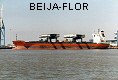 BEIJA-FLOR IMO9160798