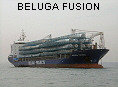 BELUGA FUSION IMO9358046