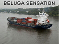 BELUGA SENSATION IMO9255763