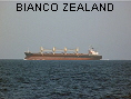BIANCO ZEALAND IMO9082908