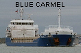BLUE CARMEL IMO9491903