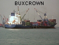 BUXCROWN IMO8808599