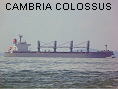CAMBRIA COLOSSUS IMO9482110