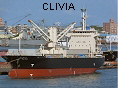 CLIVIA IMO9511375