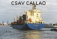 CSAV CALLAO IMO9236688