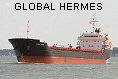 GLOBAL HERMES IMO9349978