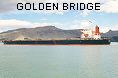 GOLDEN BRIDGE IMO9118848