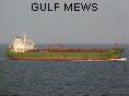 GULF MEWS IMO9335135