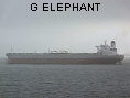 G ELEPHANT IMO9421427