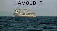 HAMOUDI F IMO7501869