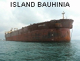 ISLAND BAUHINIA IMO8617213