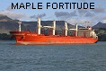 MAPLE FORTITUDE IMO9587178