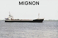MIGNON IMO6618897