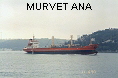 MURVET ANA IMO8202939