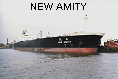 NEW AMITY IMO9177820