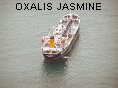 OXALIS JASMINE IMO9310824