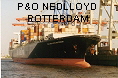 P&O NEDLLOYD ROTTERDAM IMO9153862