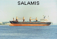 SALAMIS IMO7348322