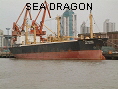 SEA DRAGON IMO8414221