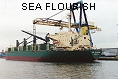 SEA FLOURISH IMO8308991