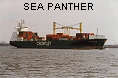 SEA PANTHER IMO9158965