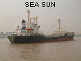 SEA SUN IMO8113932