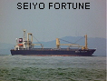 SEIYO FORTUNE IMO9417048