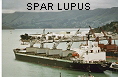SPAR LUPUS