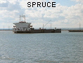 SPRUCE IMO7734167