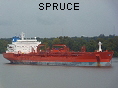 SPRUCE IMO8919037