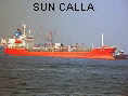 SUN CALLA IMO9116216