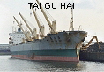 TAI GU HAI IMO8318300