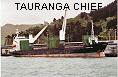TAURANGA CHIEF