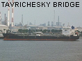 TAVRICHESKY BRIDGE IMO9292060