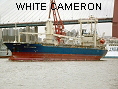 WHITE CAMERON IMO9317183