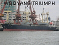 WOOYANG TRIUMPH IMO8914099