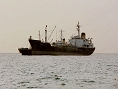 ANELLY  IMO7709784