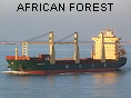 AFRICAN FOREST IMO9425162