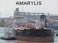 AMARYLIS IMO9586722