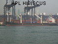 APL HIBISCUS IMO9000675
