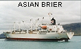 ASIAN BRIER  IMO9172703