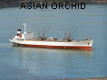 ASIAN ORCHID IMO9196357