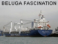 BELUGA FASCINATION IMO9358022