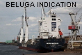 BELUGA INDICATION IMO9214563