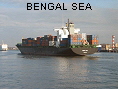 BENGAL SEA IMO8913461