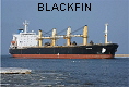 BLACKFIN IMO9110365