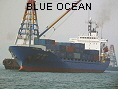 BLUE OCEAN IMO8813611